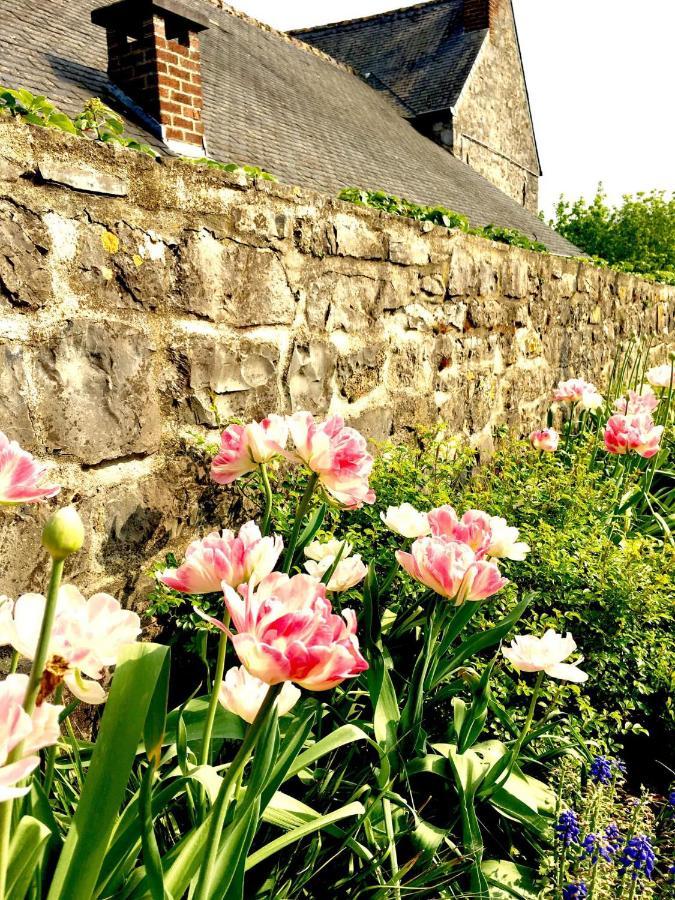 Gite La Petite Beurrerie Des Ardennes Celles  Buitenkant foto