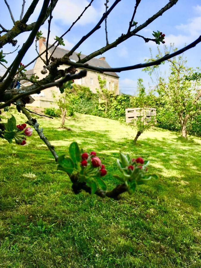 Gite La Petite Beurrerie Des Ardennes Celles  Buitenkant foto
