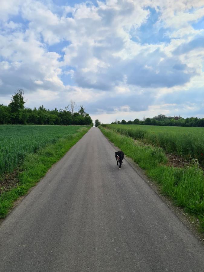 Gite La Petite Beurrerie Des Ardennes Celles  Buitenkant foto