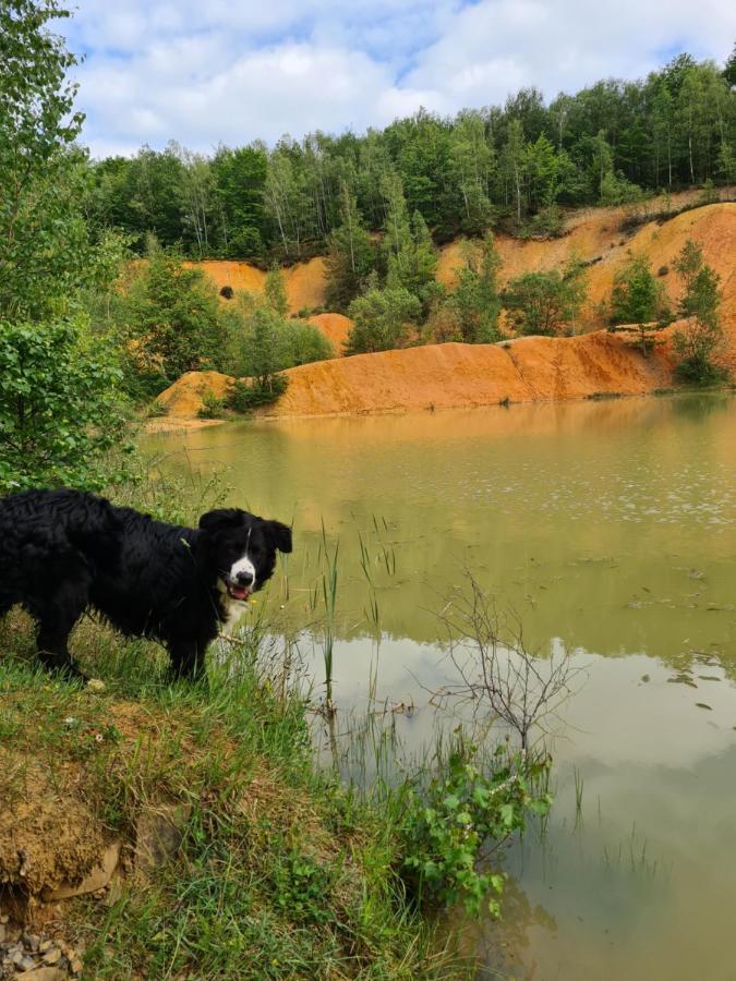 Gite La Petite Beurrerie Des Ardennes Celles  Buitenkant foto