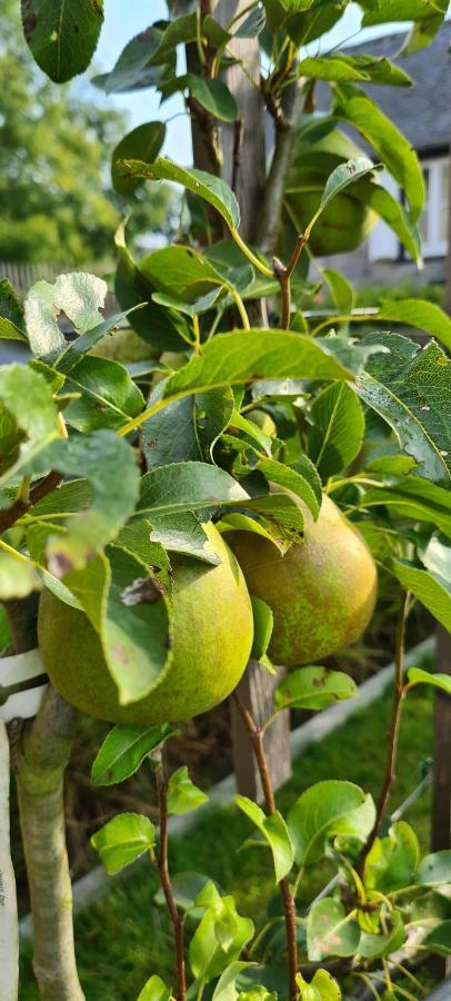 Gite La Petite Beurrerie Des Ardennes Celles  Buitenkant foto