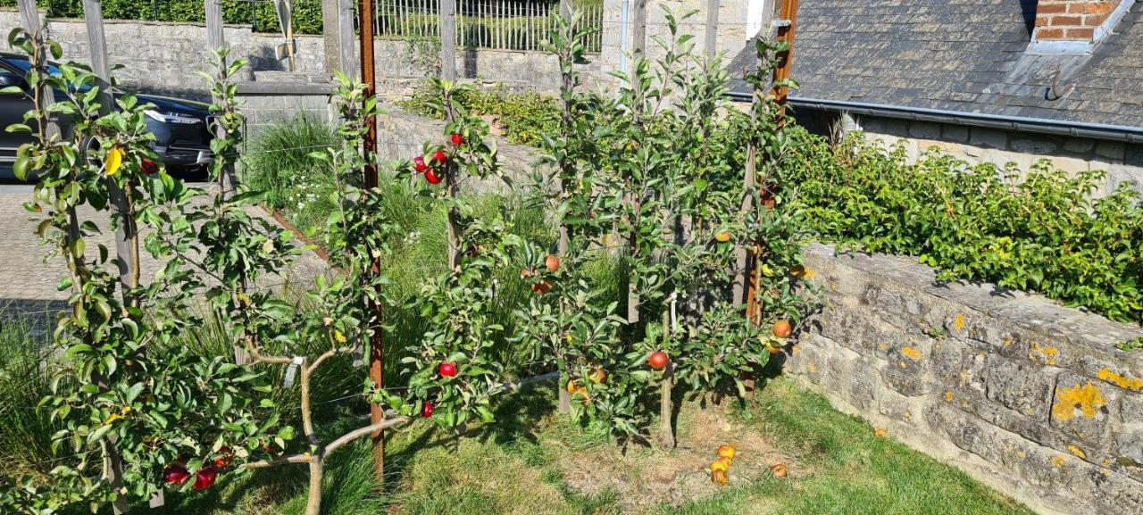 Gite La Petite Beurrerie Des Ardennes Celles  Buitenkant foto