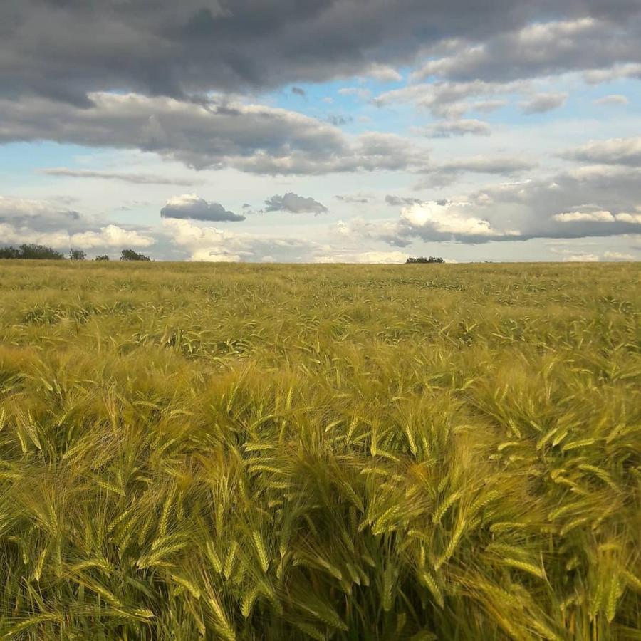 Gite La Petite Beurrerie Des Ardennes Celles  Buitenkant foto