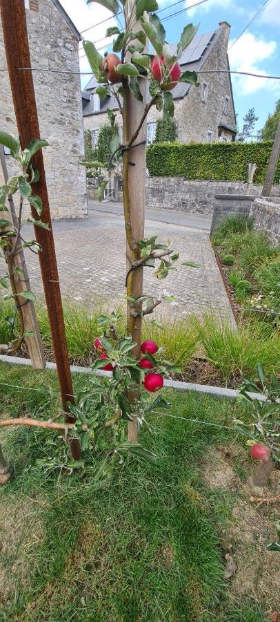 Gite La Petite Beurrerie Des Ardennes Celles  Buitenkant foto