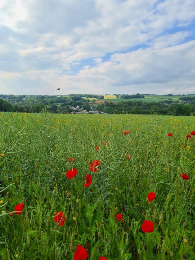 Gite La Petite Beurrerie Des Ardennes Celles  Buitenkant foto
