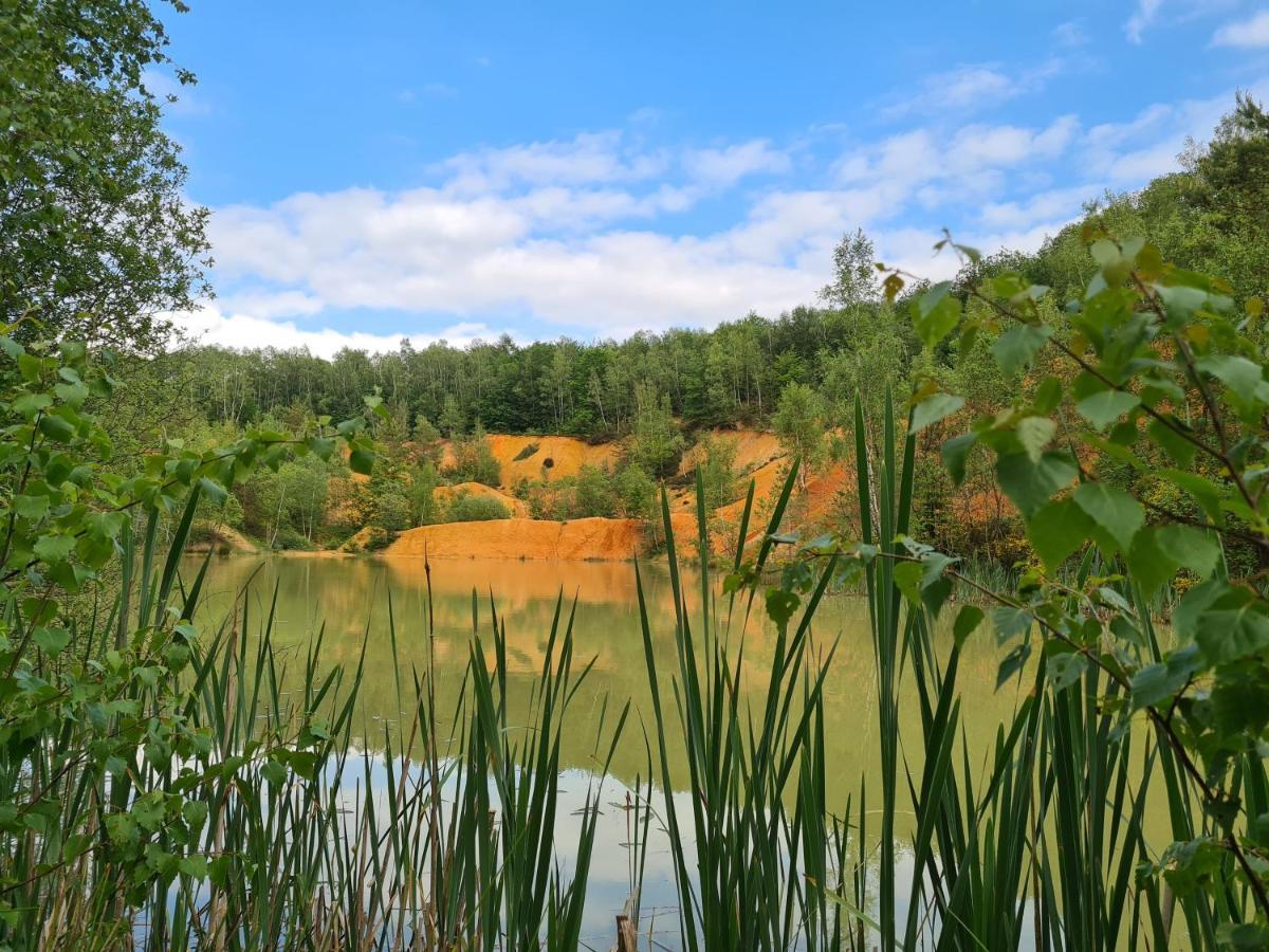 Gite La Petite Beurrerie Des Ardennes Celles  Buitenkant foto